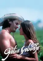  Дикая кошка смотреть онлайн сериал 1 сезон 